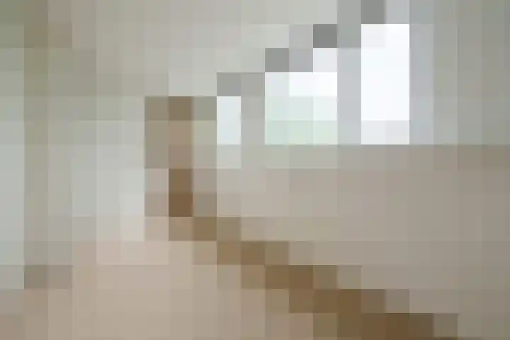 Nijenheim 6035 Zeist thumbnail 17