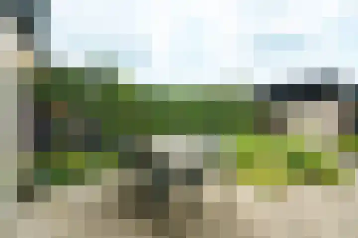 Nijenheim 6035 Zeist thumbnail 18