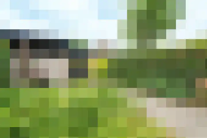 Nijenheim 6035 Zeist thumbnail 19