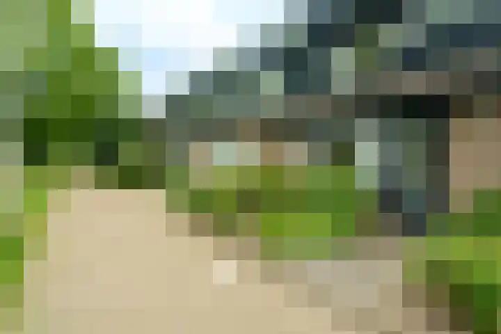 Nijenheim 6035 Zeist thumbnail 22