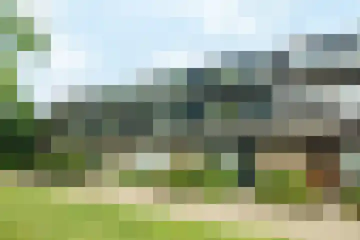 Nijenheim 6035 Zeist thumbnail 23
