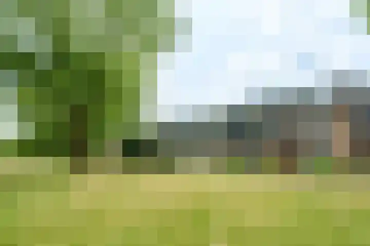 Nijenheim 6035 Zeist thumbnail 33