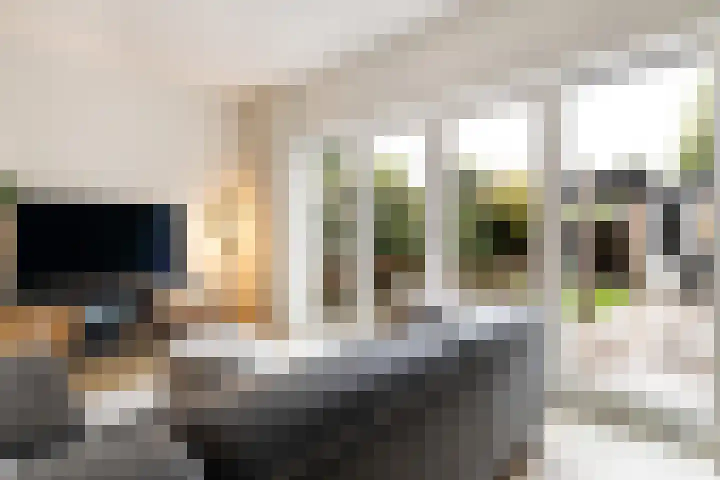 Nijenheim 6039 Zeist thumbnail 14