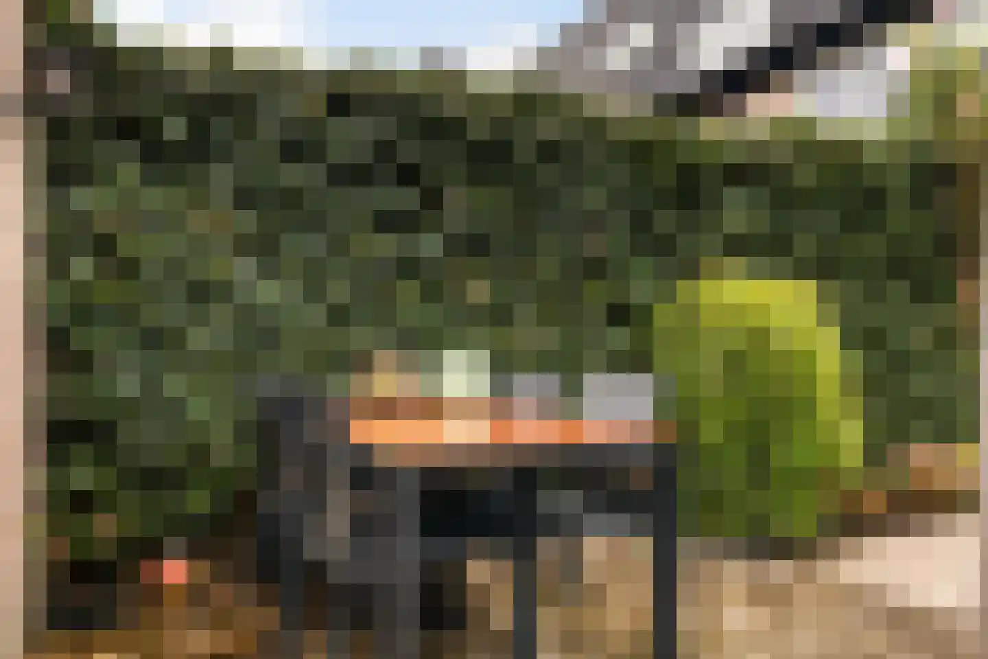 Nijenheim 6039 Zeist thumbnail 49