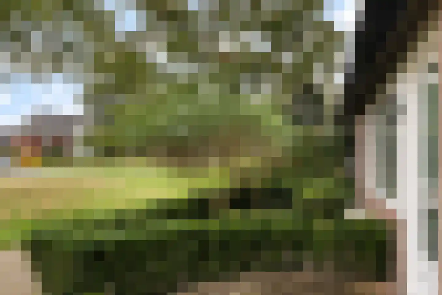 Nijenheim 6039 Zeist thumbnail 56