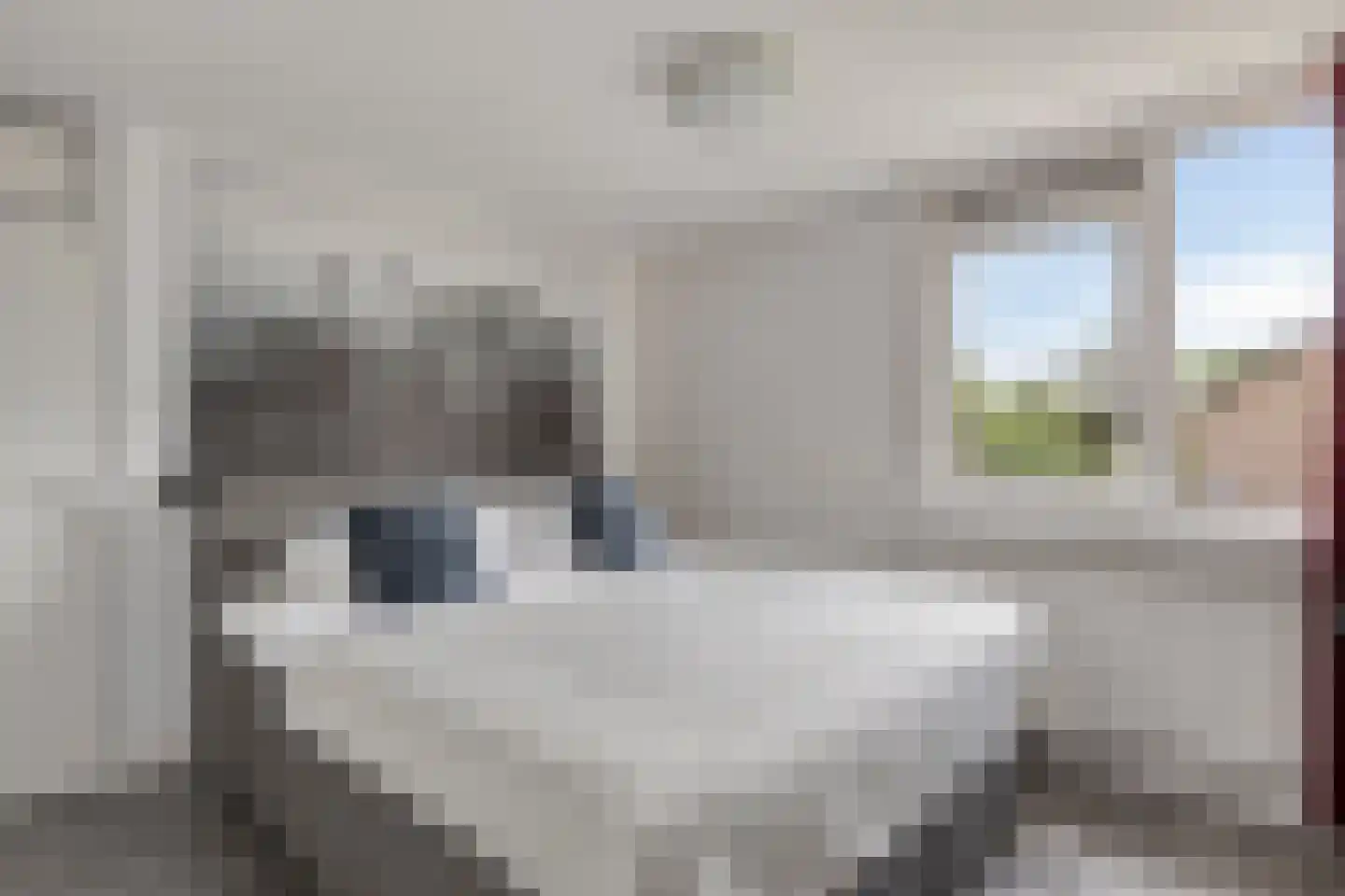Nijenheim 6206 Zeist thumbnail 20