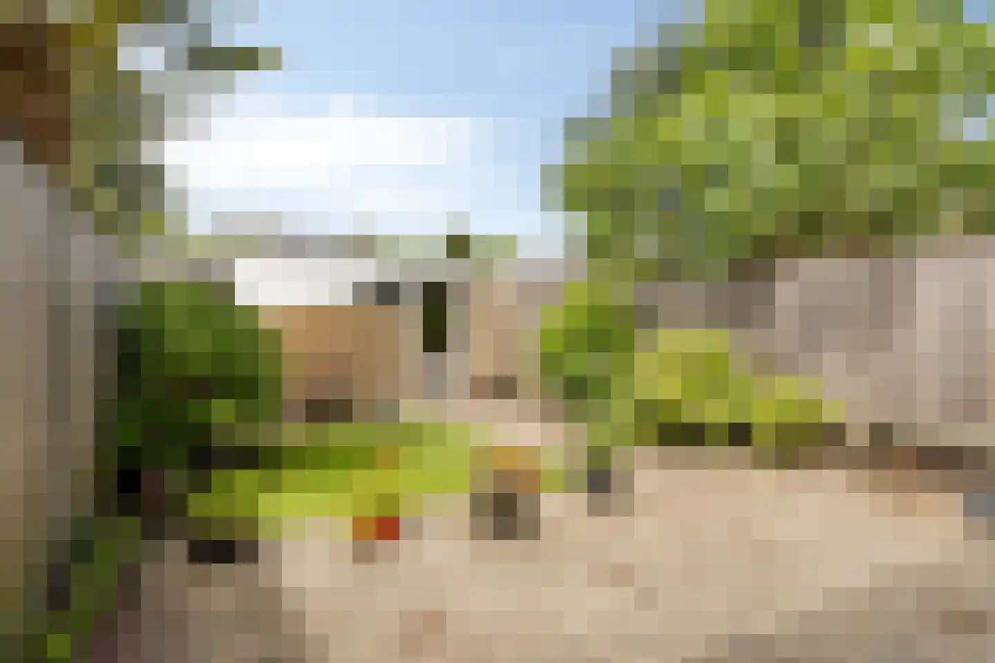 Nijenheim 6206 Zeist thumbnail 38