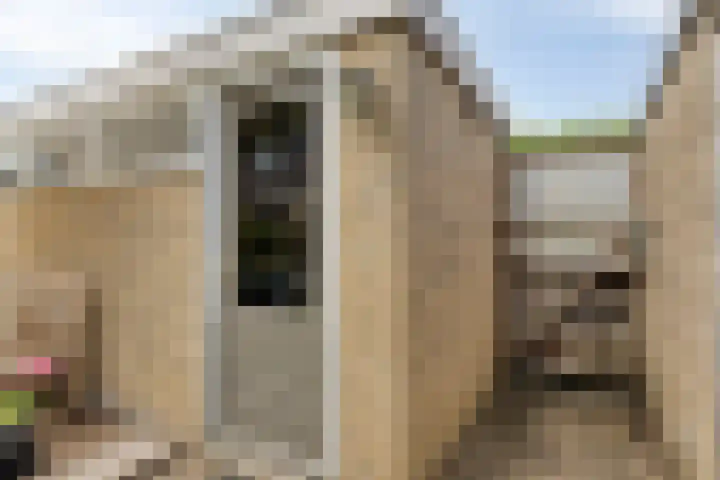 Nijenheim 6206 Zeist thumbnail 42
