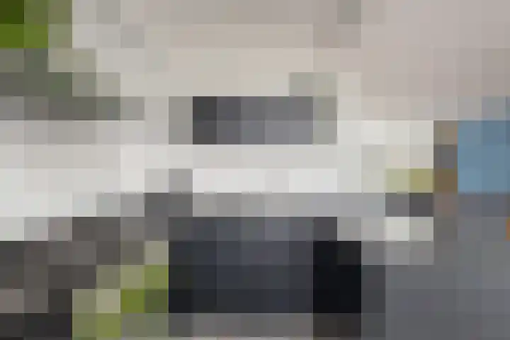 Nijenheim 6241 Zeist thumbnail 10