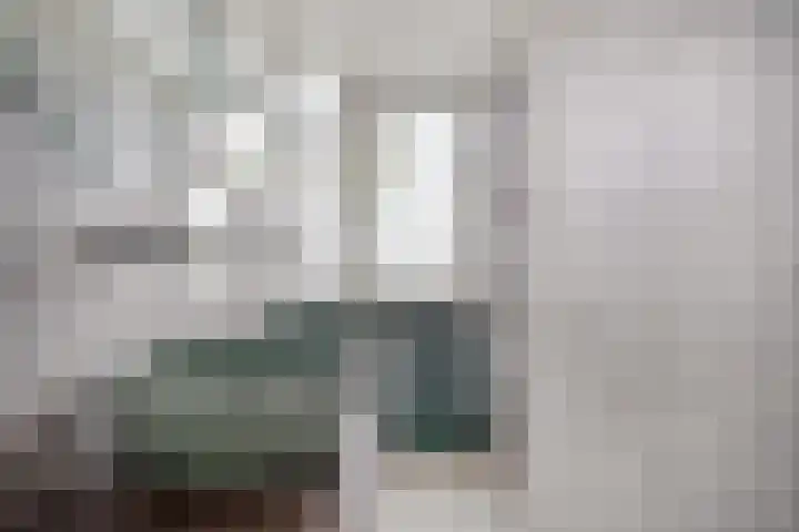 Nijenheim 6241 Zeist thumbnail 17