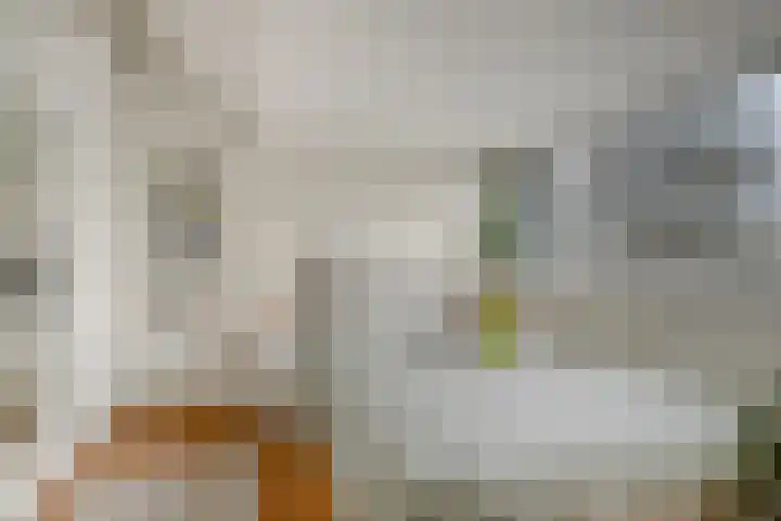 Nijenheim 6241 Zeist thumbnail 25