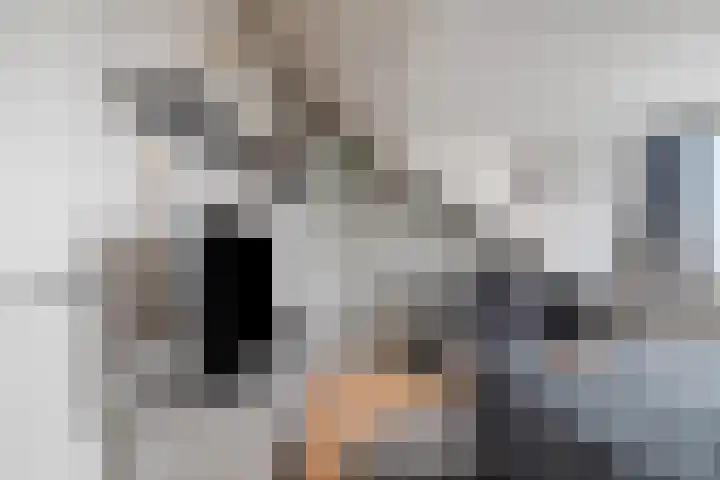 Nijenheim 6241 Zeist thumbnail 27