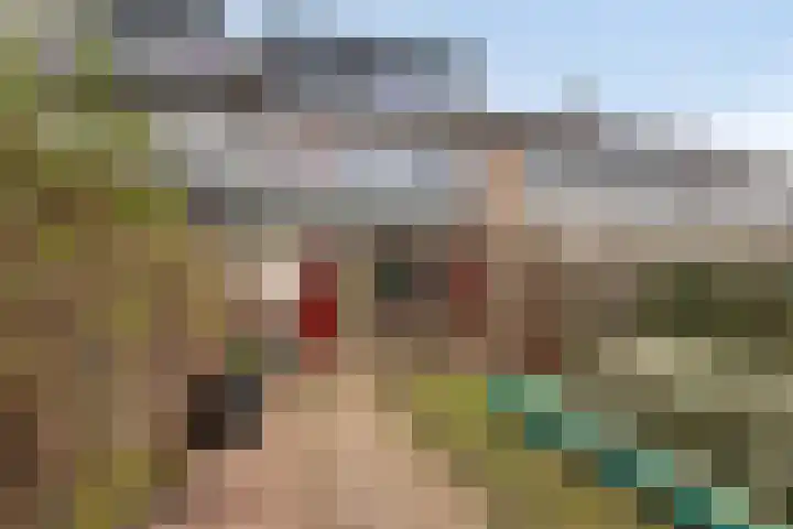 Nijenheim 6241 Zeist thumbnail 30
