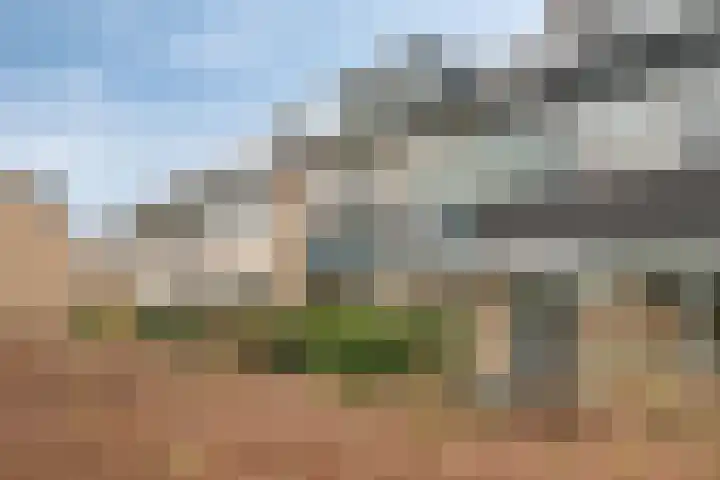 Nijenheim 6241 Zeist thumbnail 31