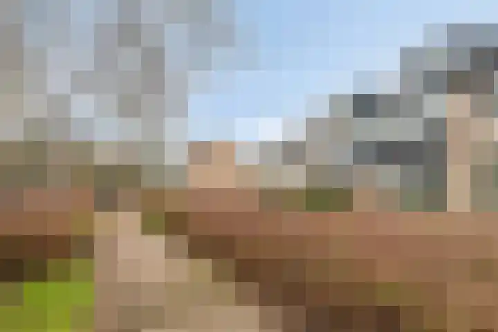 Nijenheim 6241 Zeist thumbnail 33