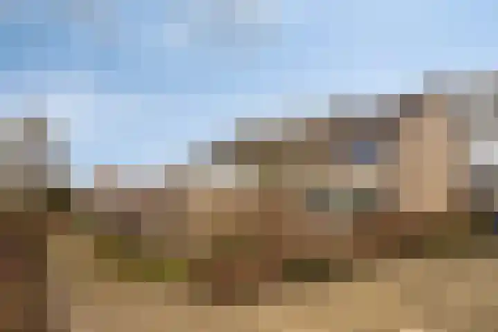 Nijenheim 6241 Zeist thumbnail 34