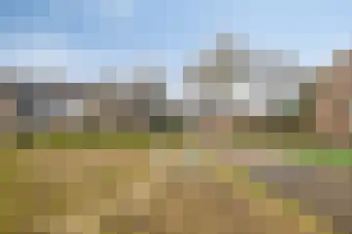 Nijenheim 6241 Zeist thumbnail 35