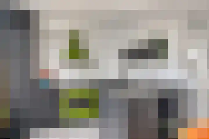 Nijenheim 6241 Zeist thumbnail 9