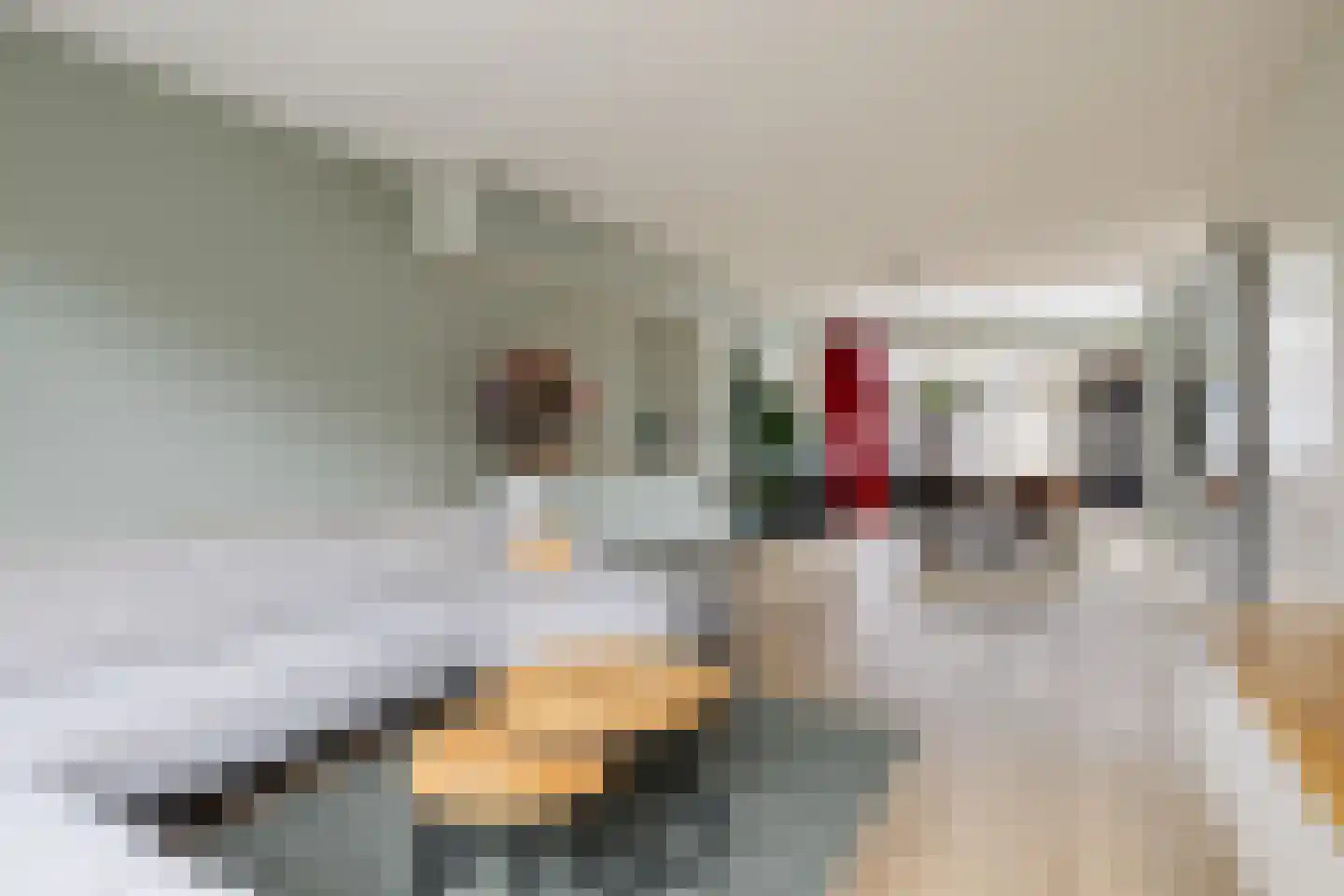 Nijenheim 6325 Zeist thumbnail 11
