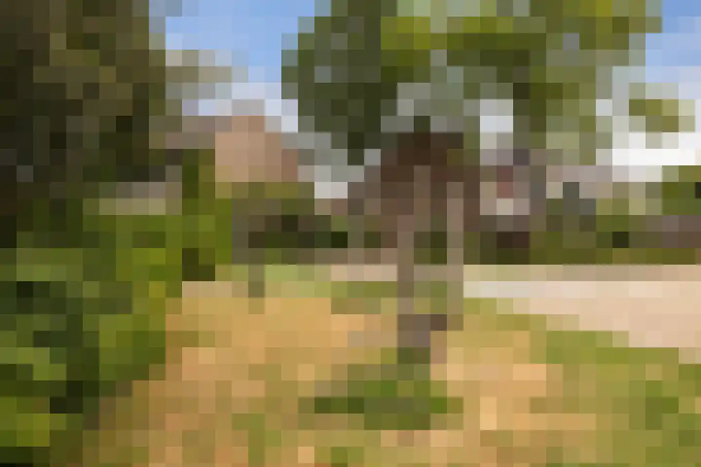 Nijenheim 6325 Zeist thumbnail 39