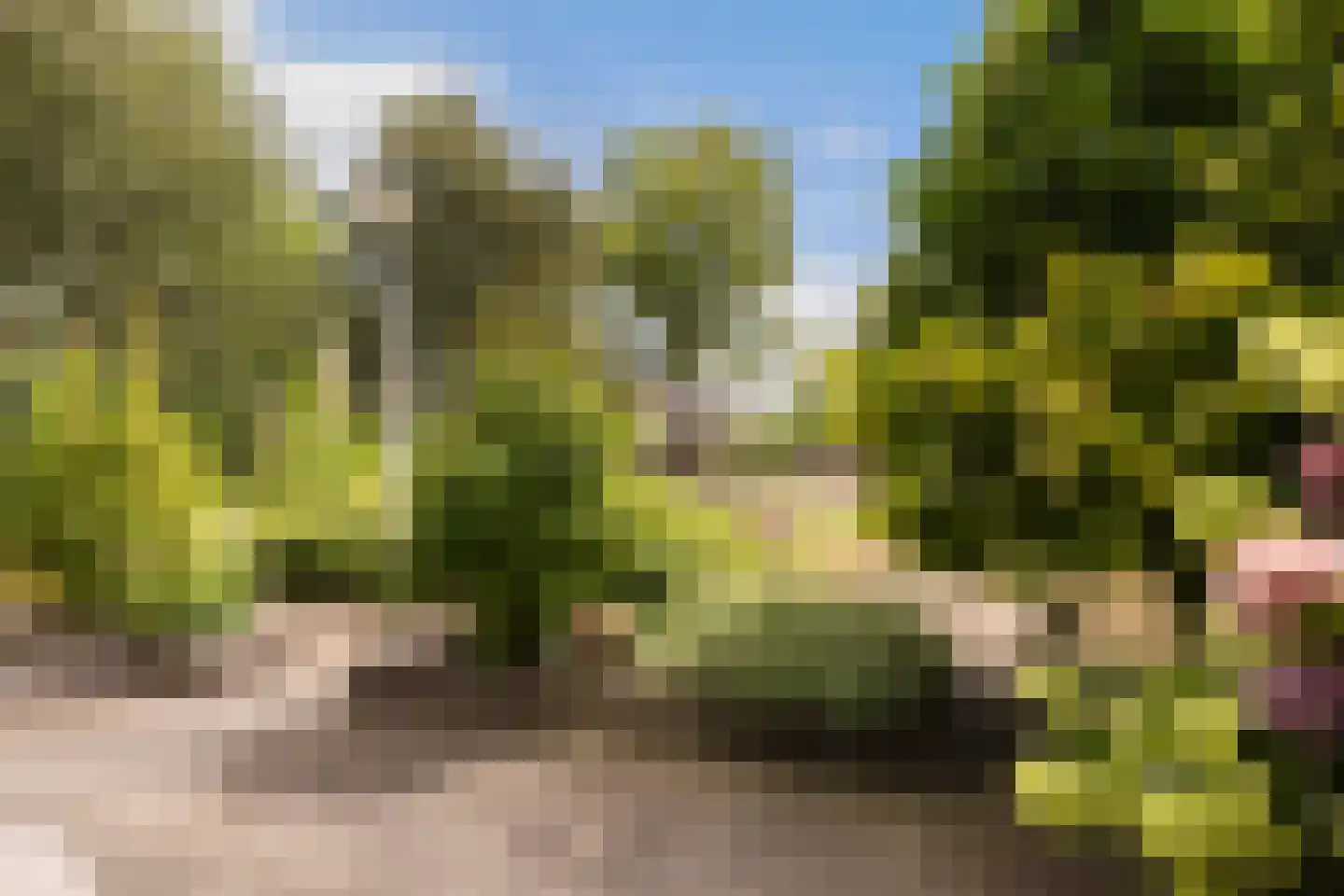 Nijenheim 6325 Zeist thumbnail 40