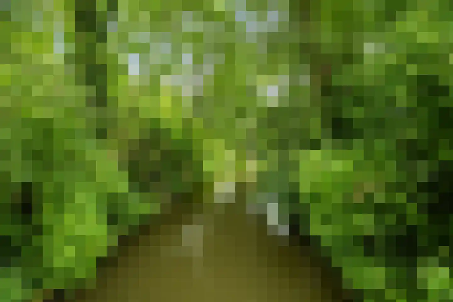 Nijenheim 6325 Zeist thumbnail 41