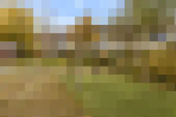 Nijenheim 6327 Zeist thumbnail 31