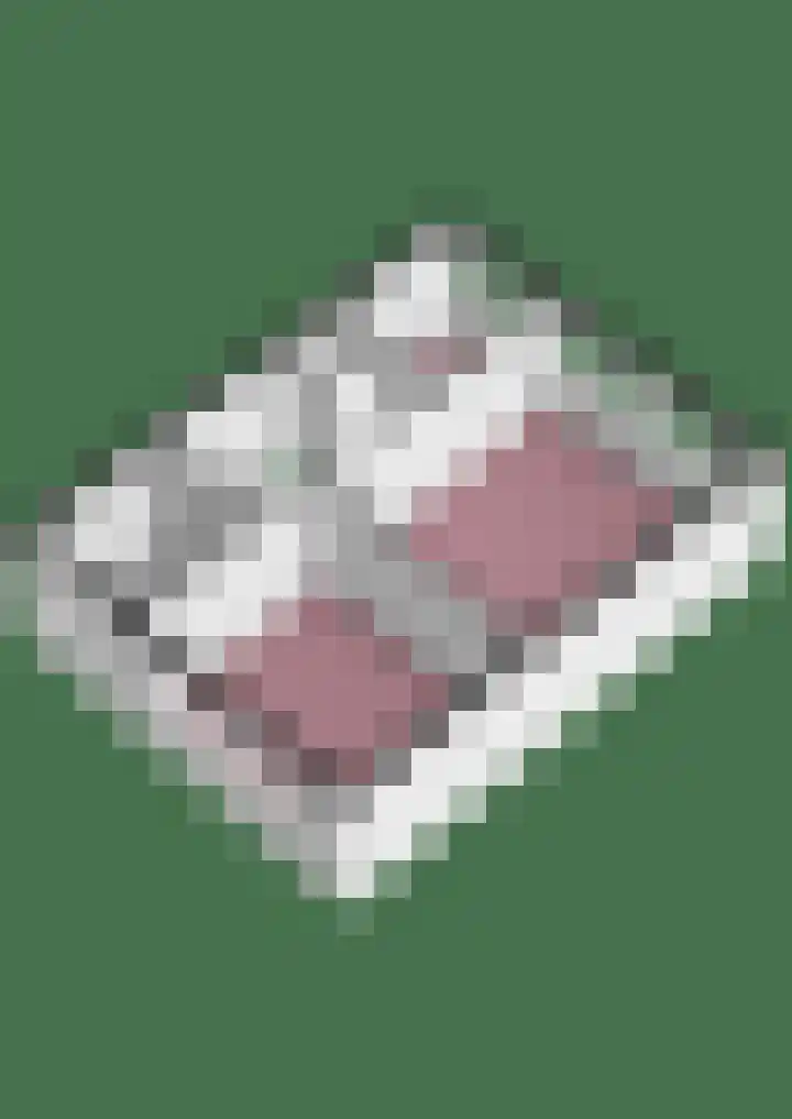 Nijenheim 6327 Zeist thumbnail 38
