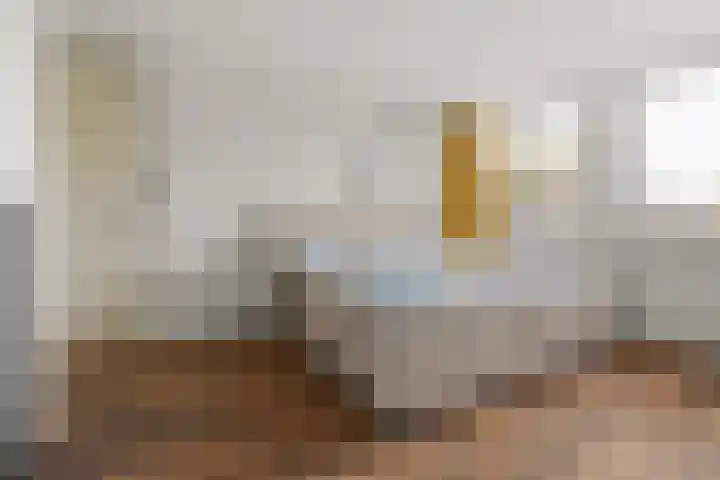 Nijenheim 6327 Zeist thumbnail 4