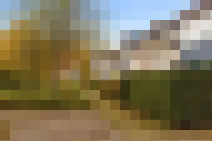 Nijenheim 6327 Zeist thumbnail 6