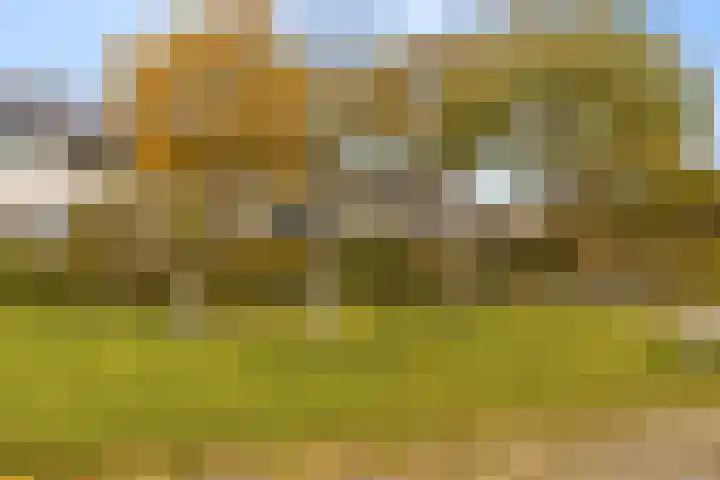 Nijenheim 6327 Zeist thumbnail 7