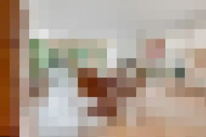 Nijenheim 6411 Zeist thumbnail 11