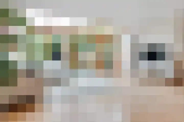 Nijenheim 6411 Zeist thumbnail 12