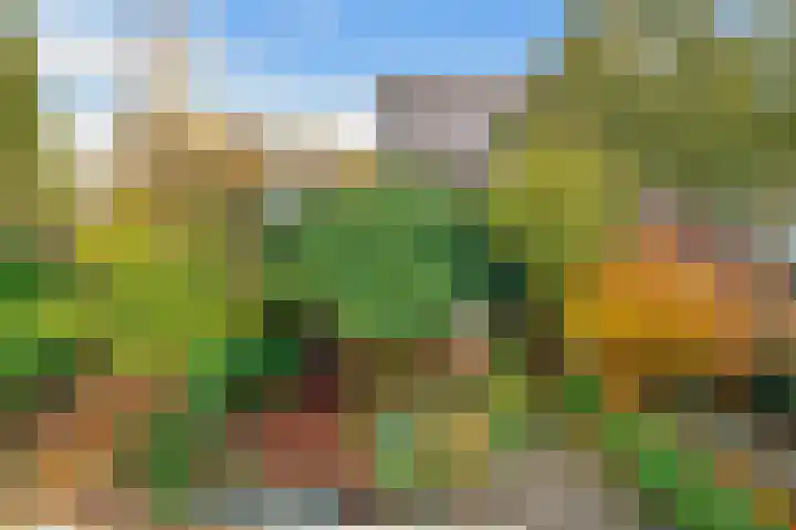Nijenheim 6411 Zeist thumbnail 39