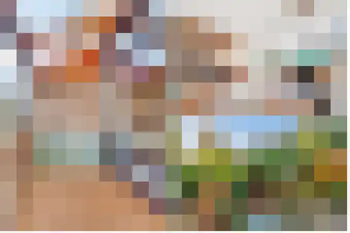 Nijenheim 6411 Zeist thumbnail 45