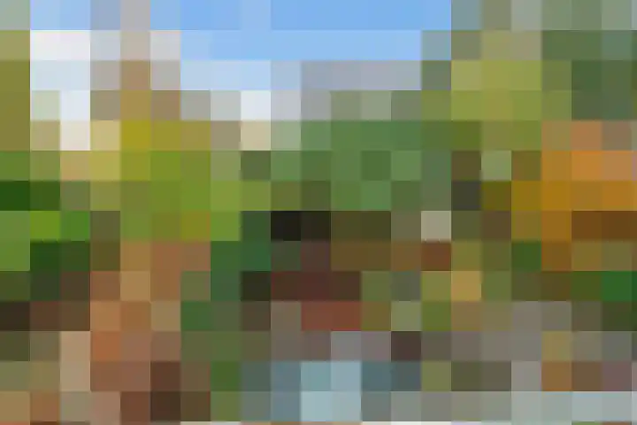 Nijenheim 6411 Zeist thumbnail 46