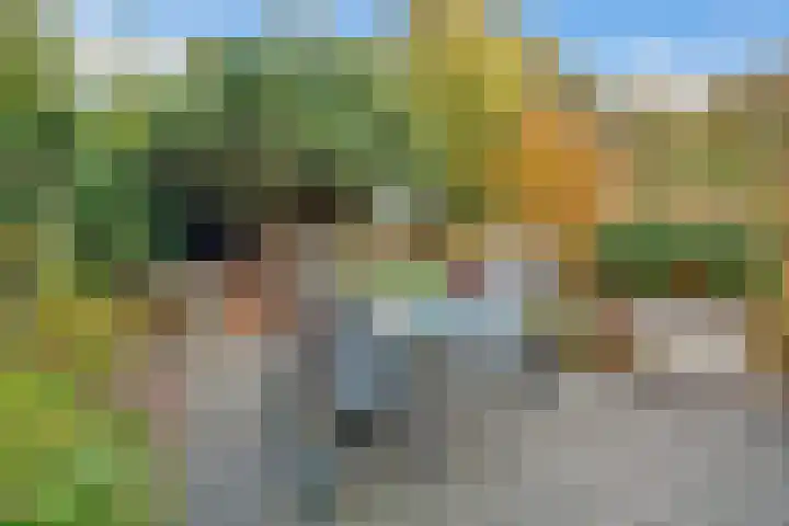Nijenheim 6411 Zeist thumbnail 49