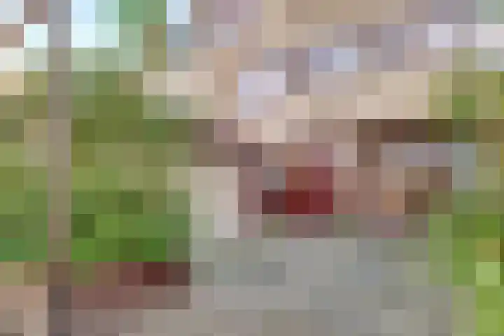 Nijenheim 6411 Zeist thumbnail 5