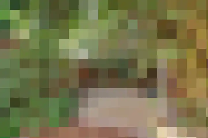Nijenheim 6411 Zeist thumbnail 50