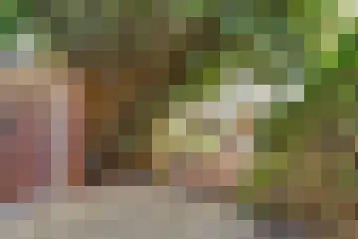 Nijenheim 6411 Zeist thumbnail 51