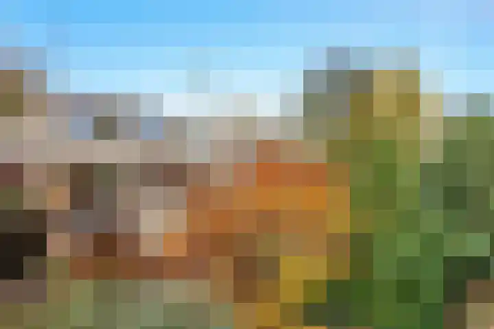 Nijenheim 6411 Zeist thumbnail 54