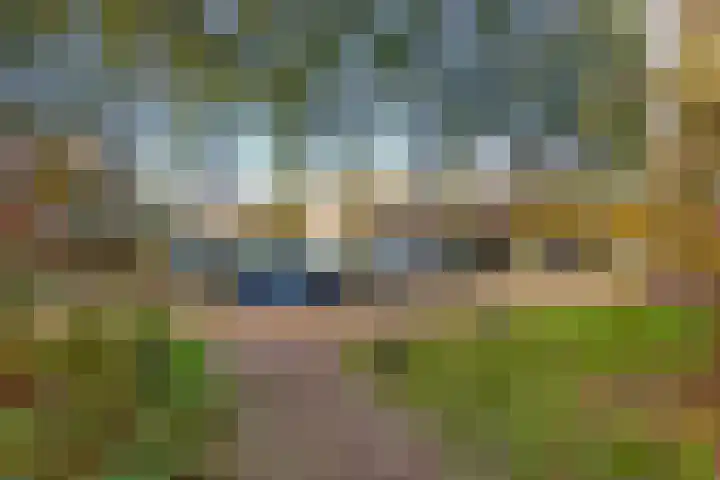 Nijenheim 6411 Zeist thumbnail 55