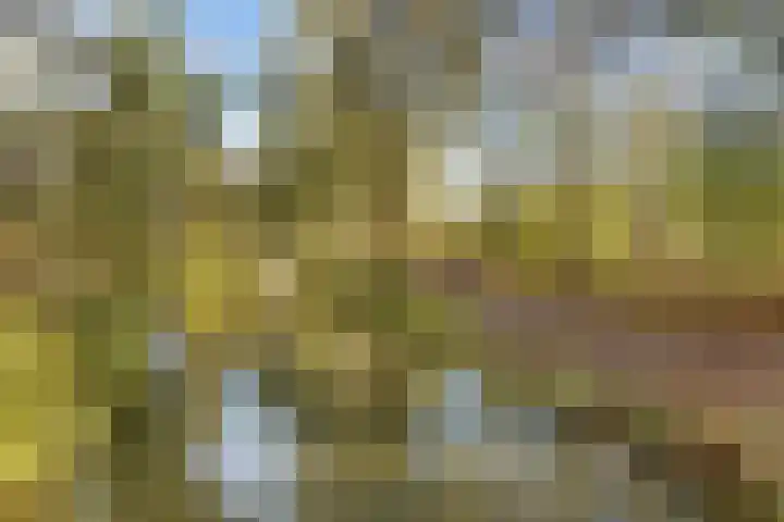 Nijenheim 6411 Zeist thumbnail 56