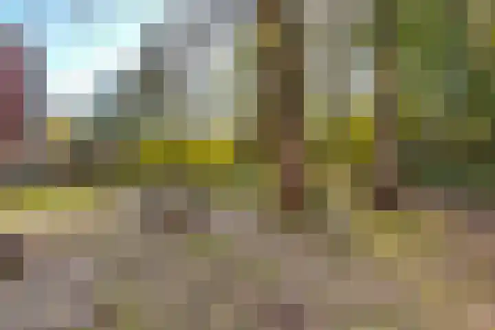 Nijenheim 6411 Zeist thumbnail 58