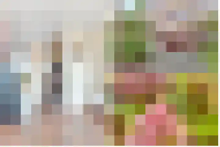 Nijenheim 6411 Zeist thumbnail 8
