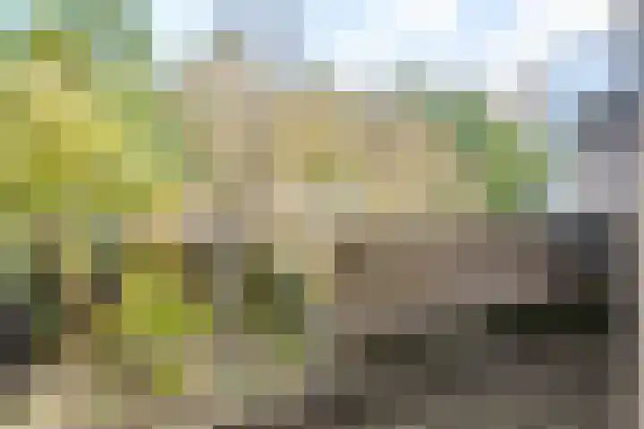 Nijenheim 6419 Zeist thumbnail 13