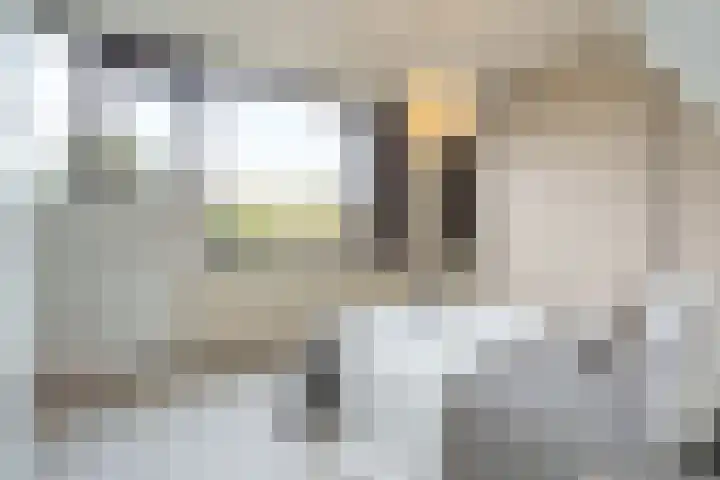 Nijenheim 6419 Zeist thumbnail 14