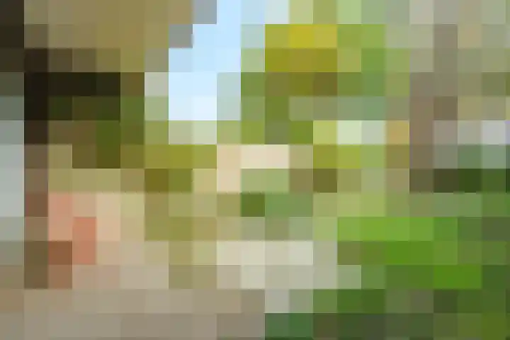 Nijenheim 6419 Zeist thumbnail 21