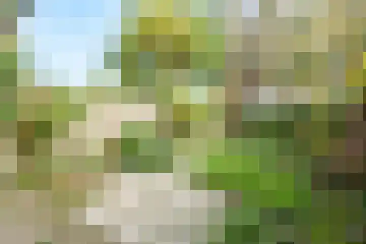 Nijenheim 6419 Zeist thumbnail 22