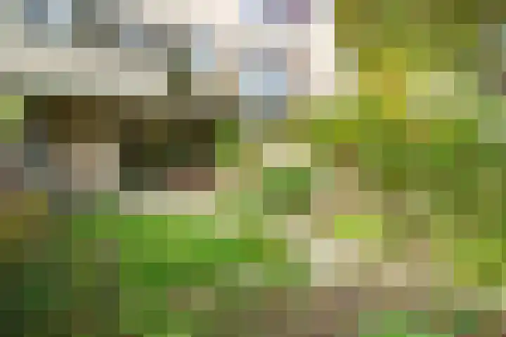 Nijenheim 6419 Zeist thumbnail 24